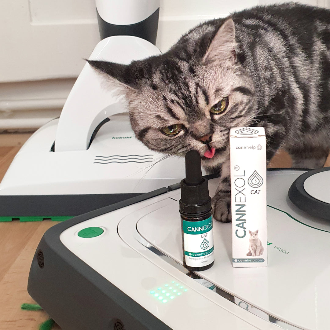 Auch Katzen fühlen sich wohl' mit CANNEXOL