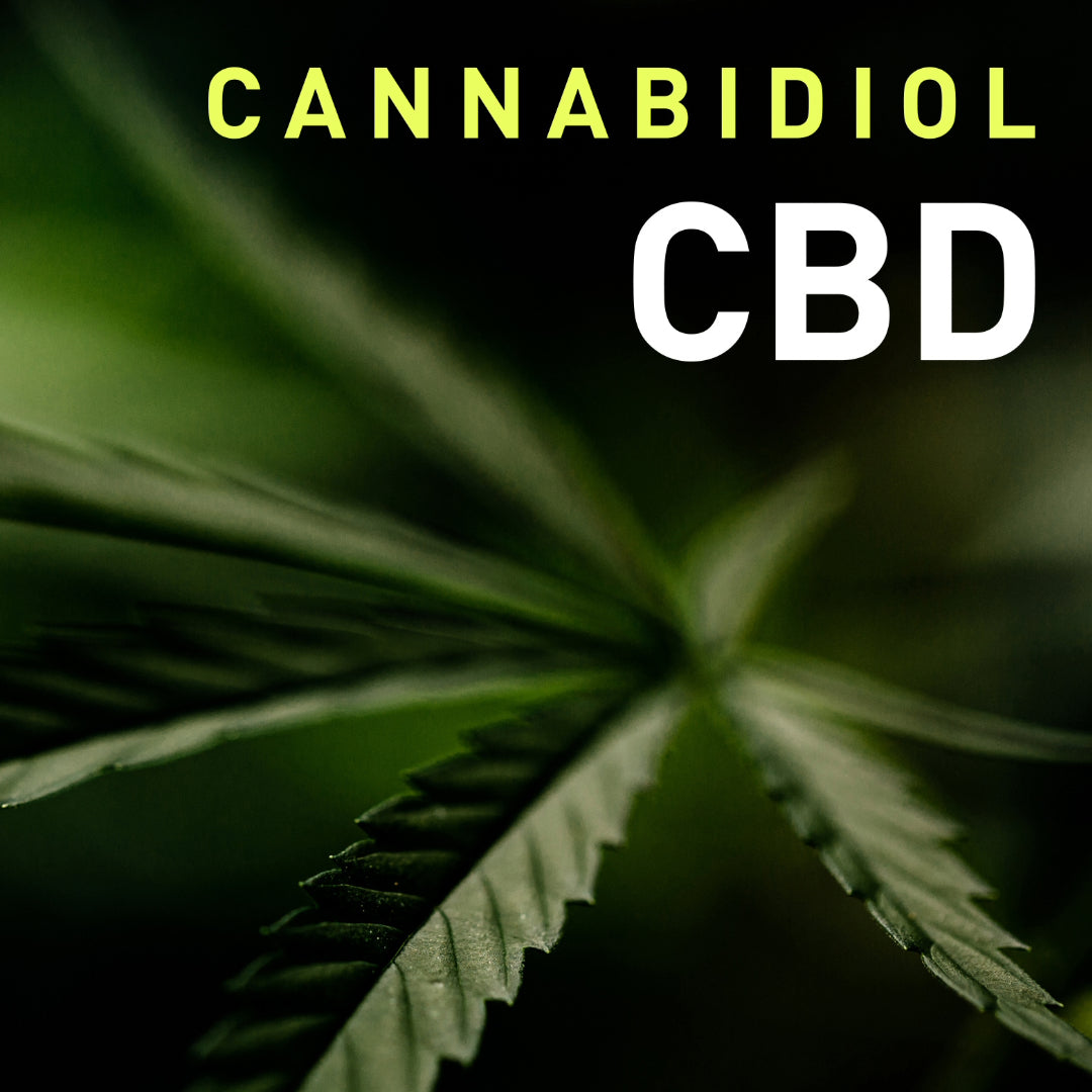 CBD Bedeutung