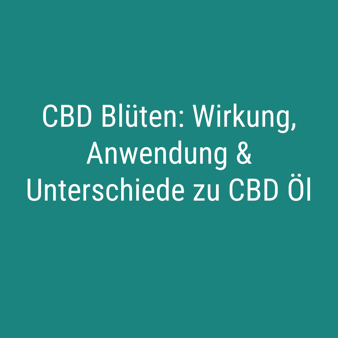 CBD Blüten Wirkung, Anwendung & Unterschiede zu CBD Öl