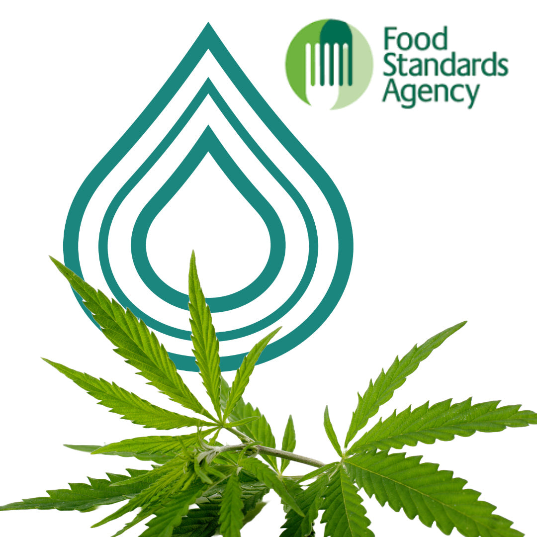 CBD als Neuartiges Lebensmittel (Novel-Food)