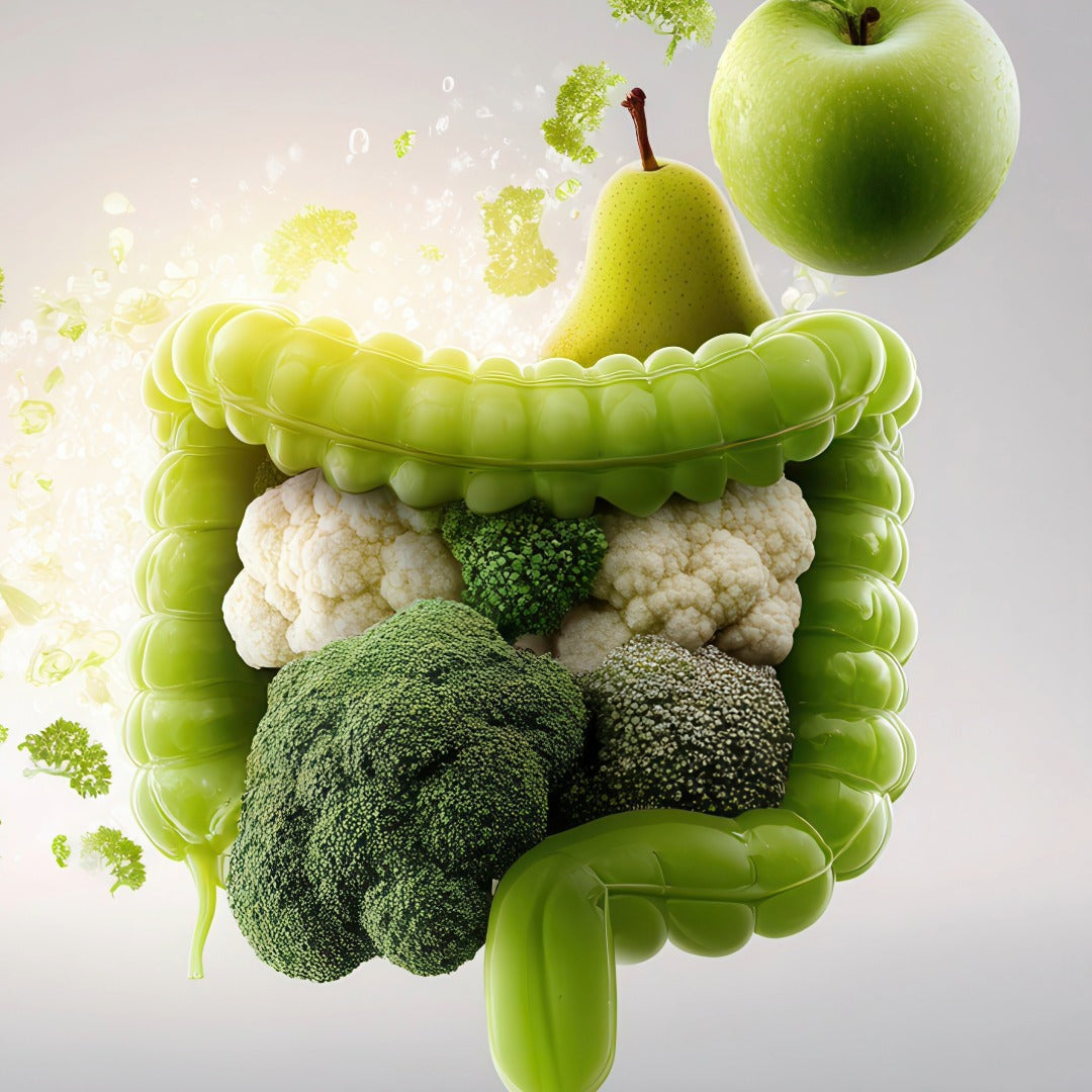 Darmgesundheit ganzheitlich gedacht