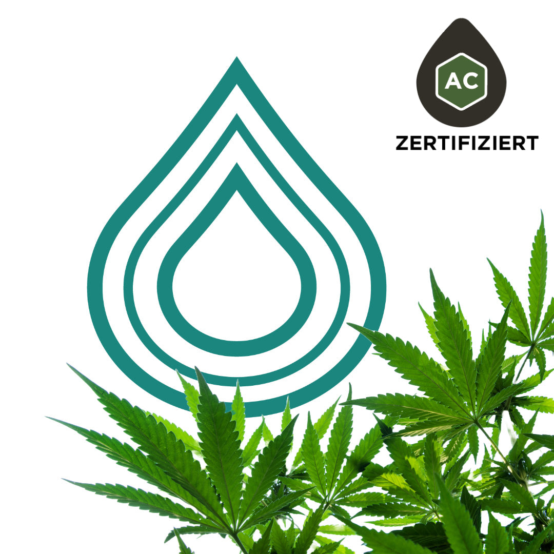 Was macht die ARGE CANNA und was ist der AC-Tropfen?