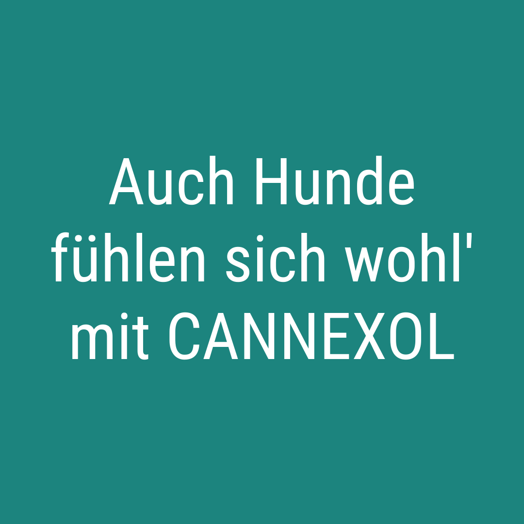 Auch Hunde fühlen sich wohl' mit CANNEXOL