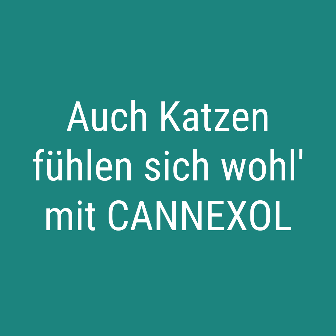 Auch Katzen fühlen sich wohl' mit CANNEXOL