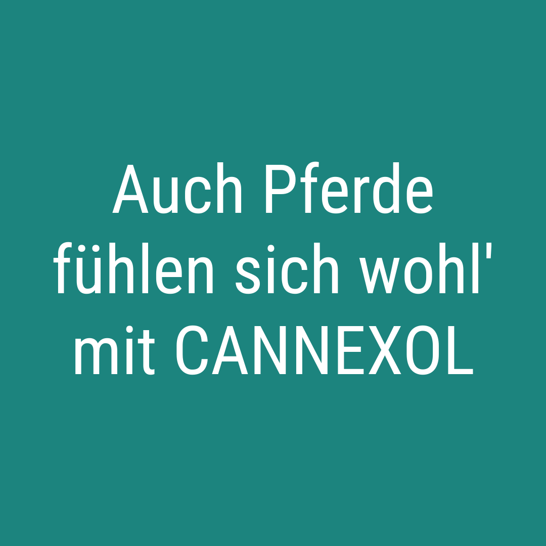 Auch Pferde fühlen sich wohl' mit CANNEXOL