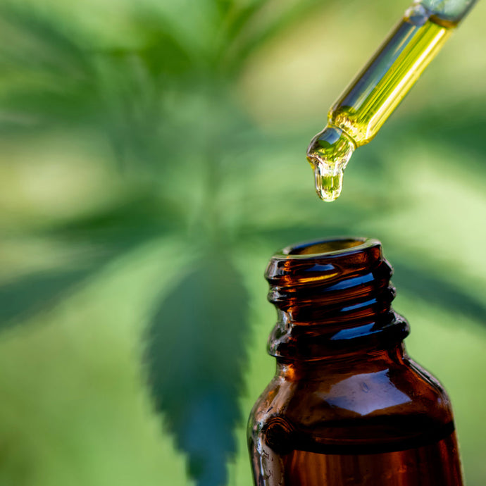 CBD Öl