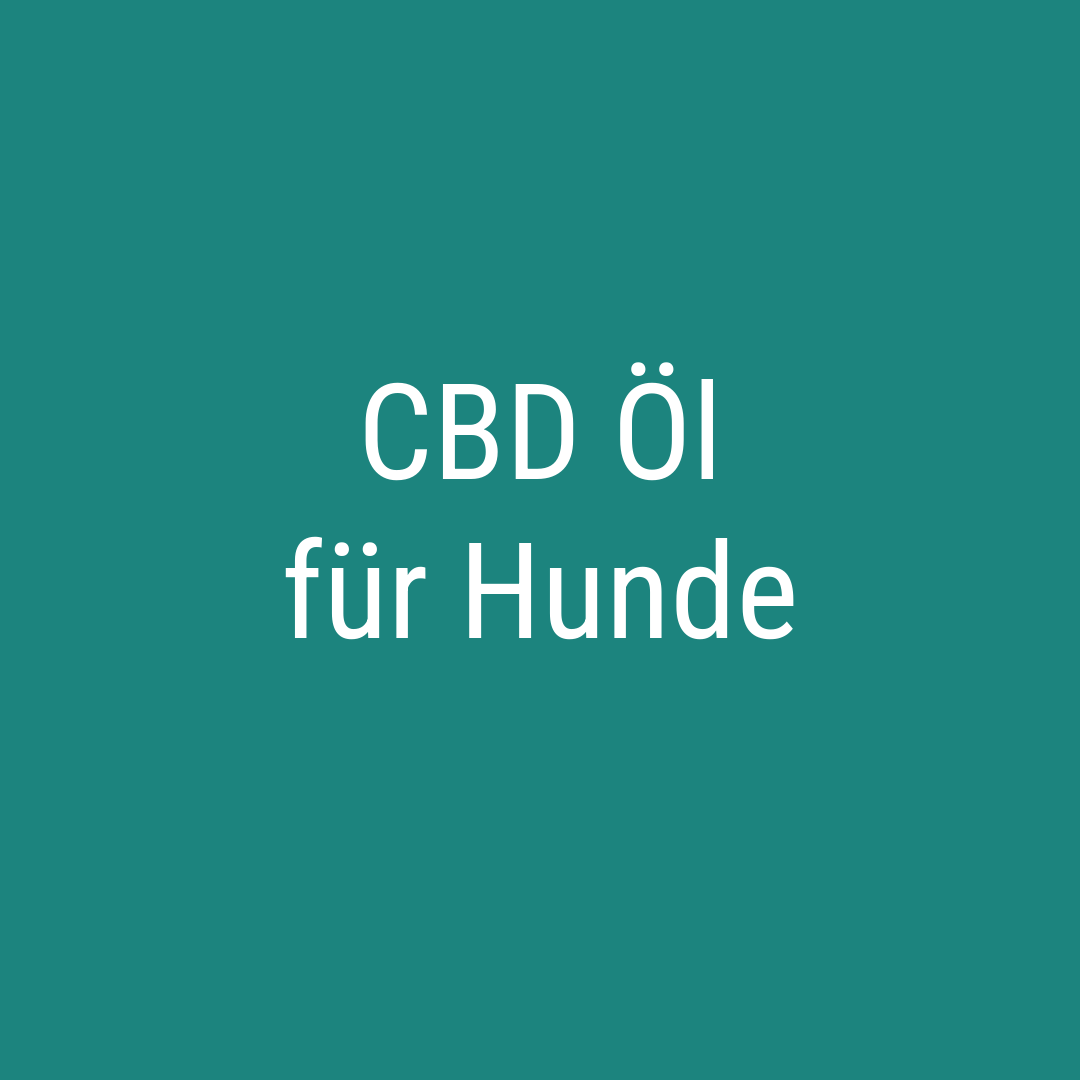 CBD Öl für Hunde