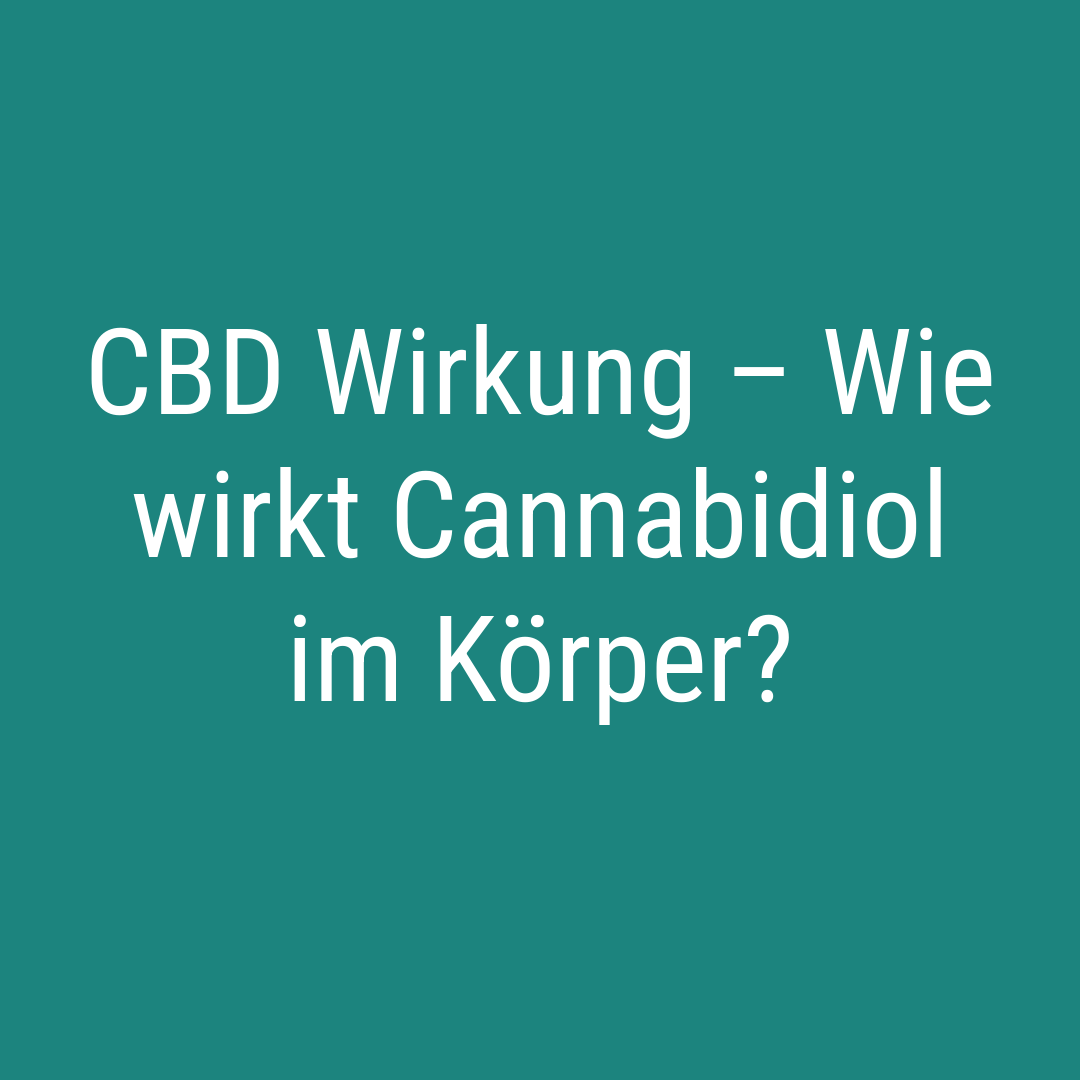 CBD Wirkung – Wie wirkt Cannabidiol im Körper