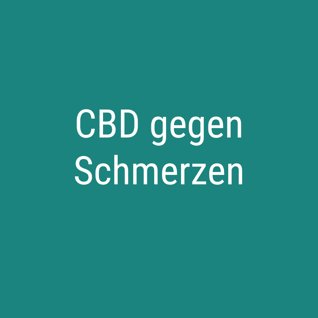 CBD gegen Schmerzen