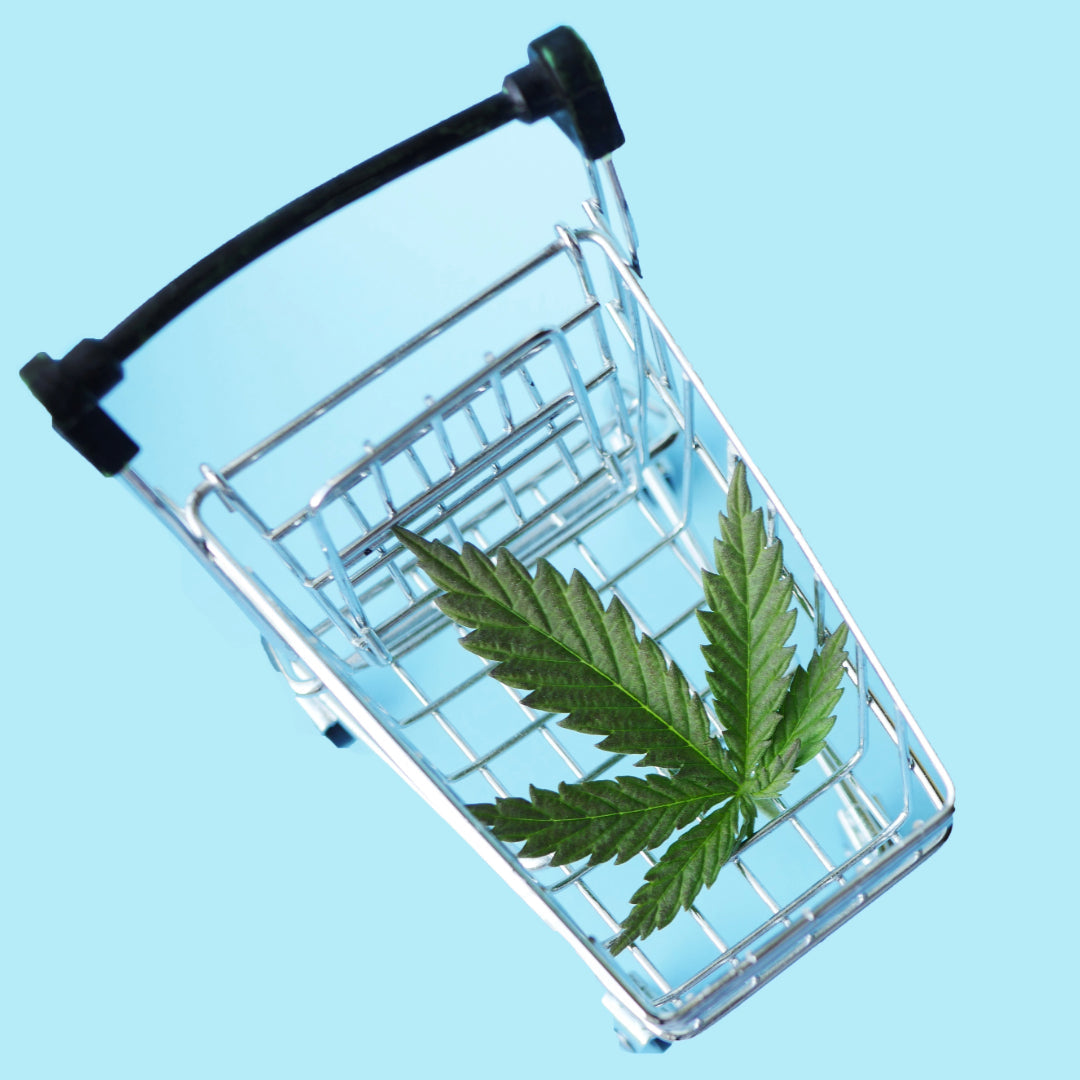 CBD kaufen