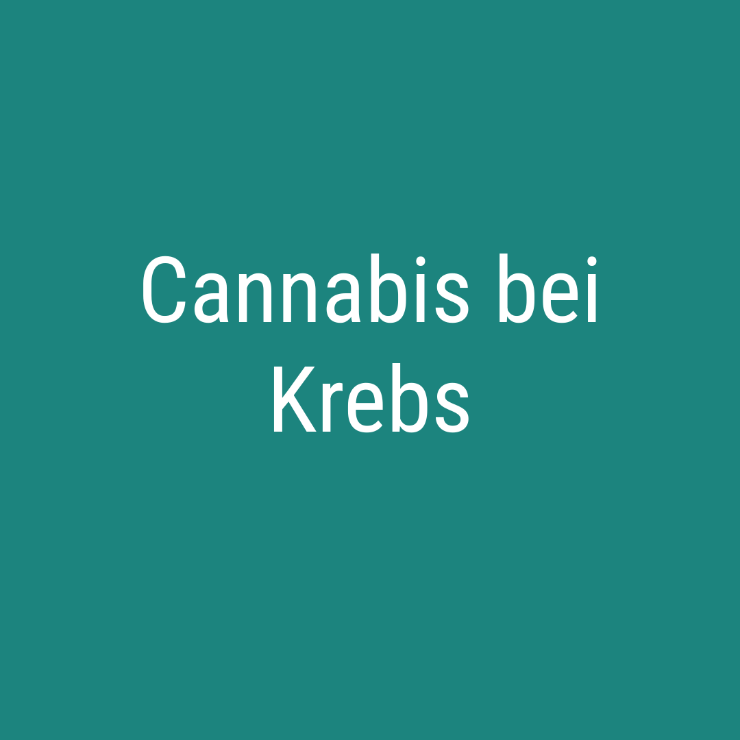 Cannabis bei Krebs