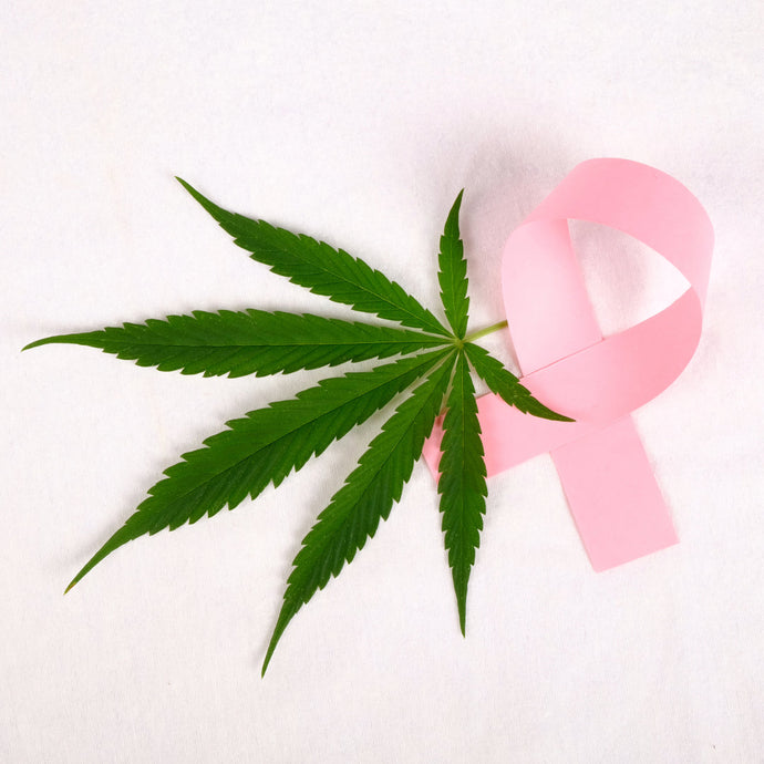 Cannabis bei Krebs