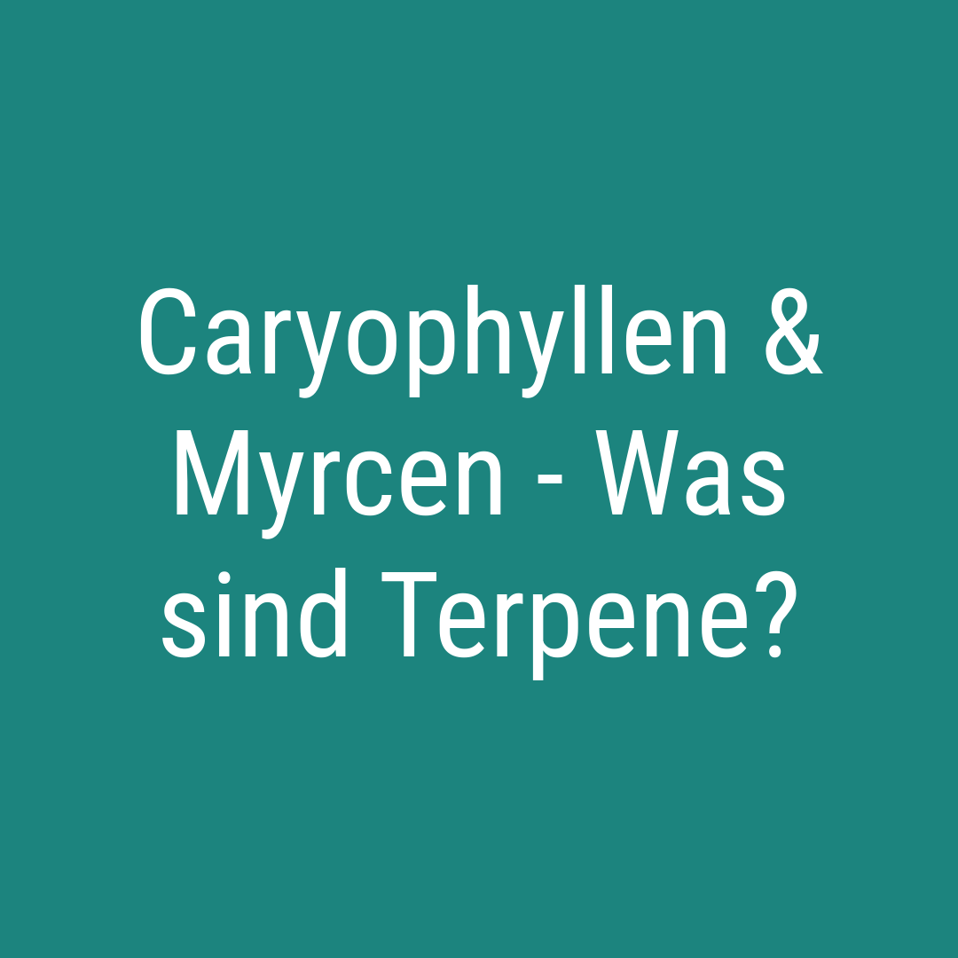 Caryophyllen & Myrcen - Was sind Terpene