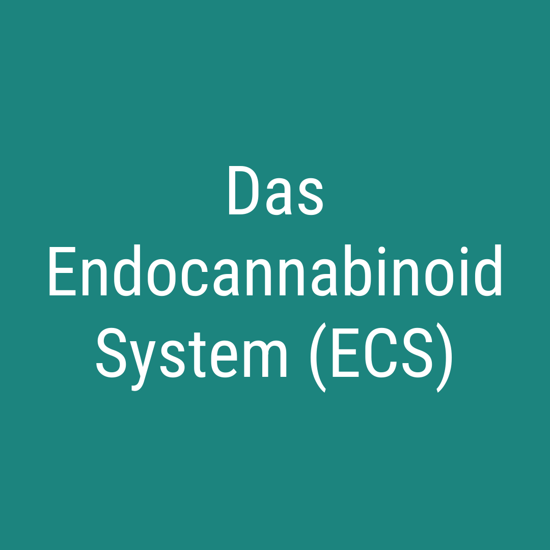 Das Endocannabinoid System (ECS)