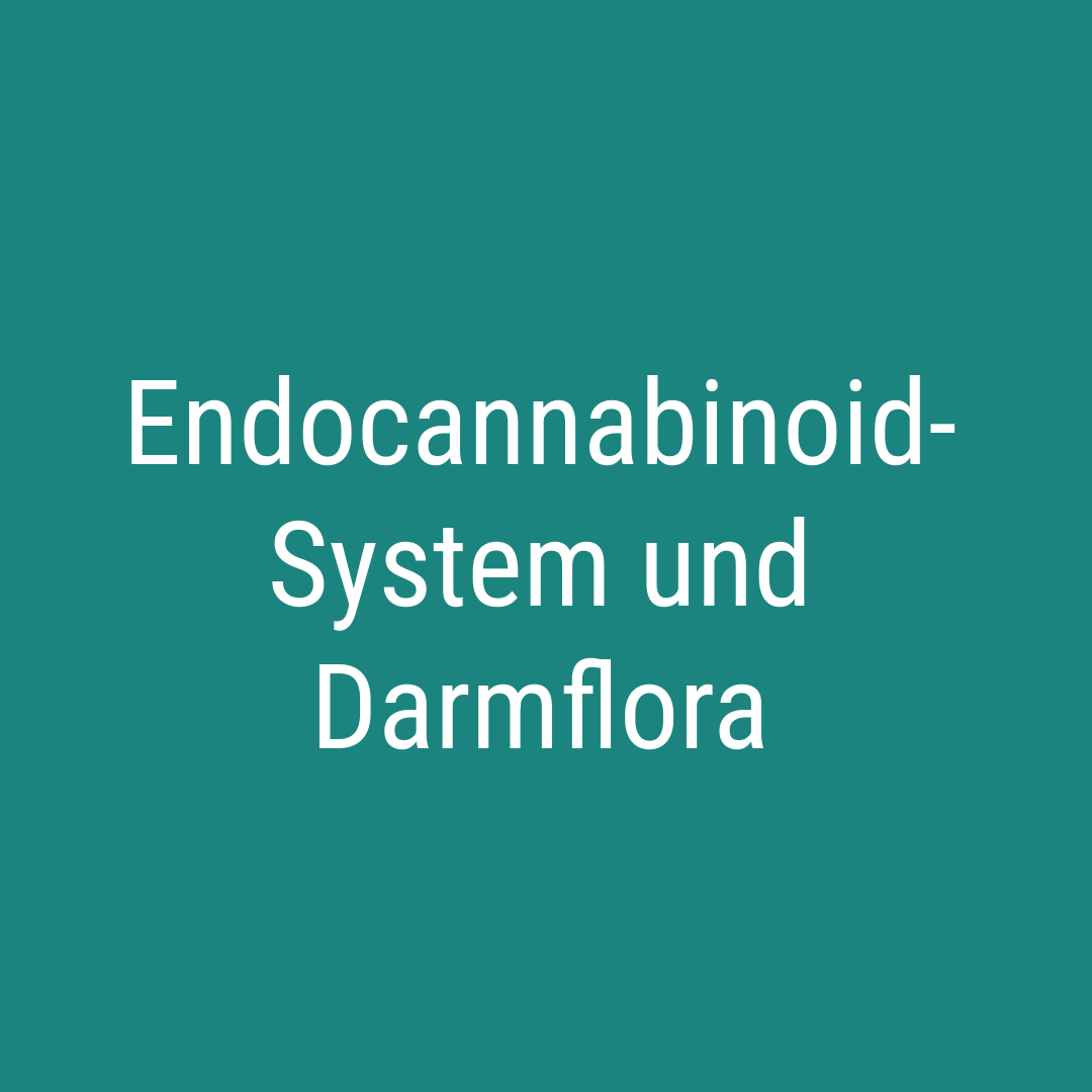 Endocannabinoid-System und Darmflora