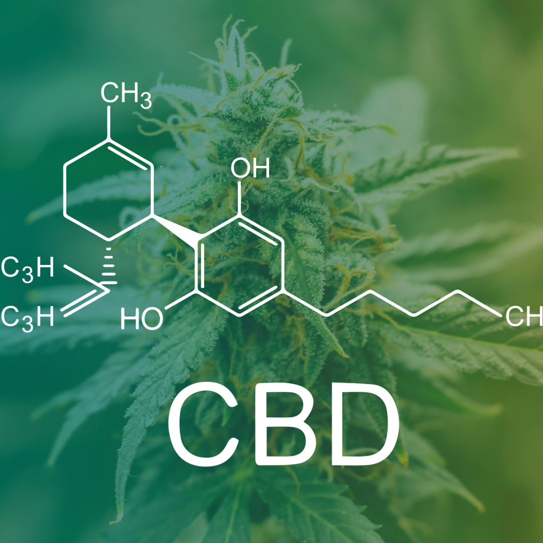 Was ist CBD