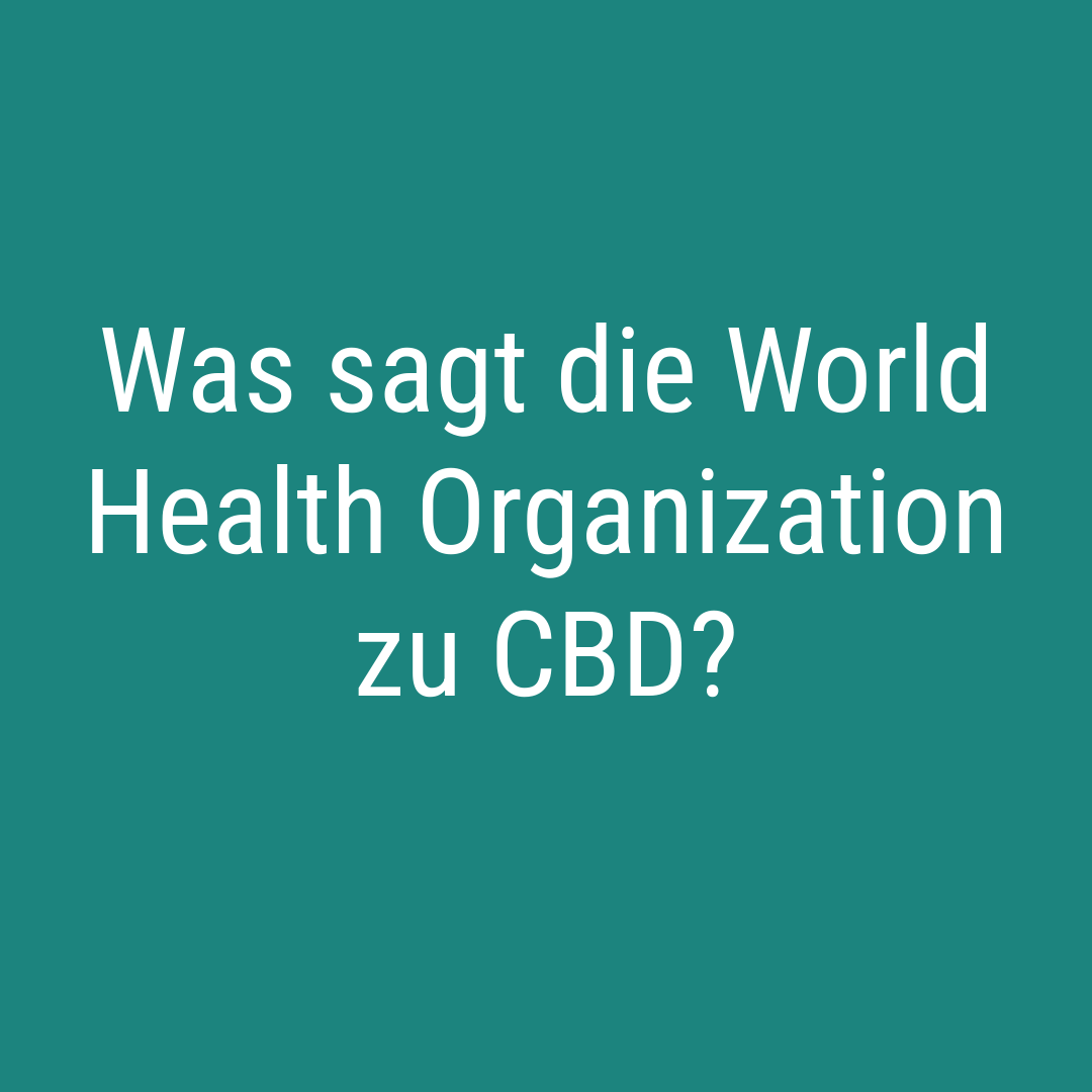 Was sagt die World Health Organization zu CBD