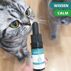 Auch Katzen fühlen sich wohl' mit CANNEXOL