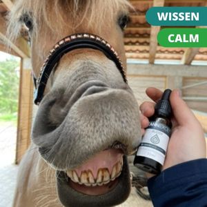 Horses also feel good' with CANNEXOL