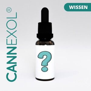 What to look for when buying CBD oil?