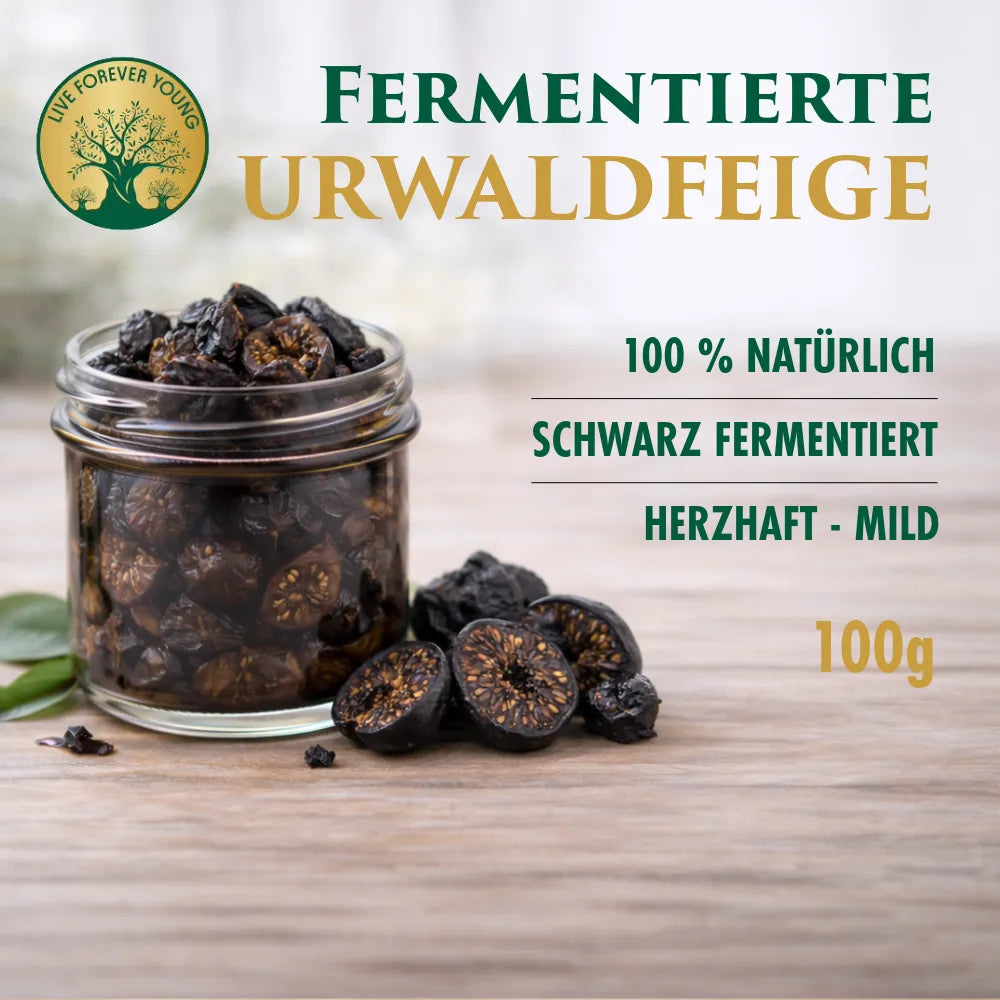 Fermentierte Urwaldfeige