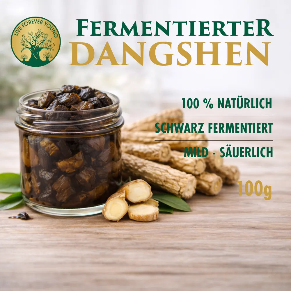 Fermentierter Dangshen