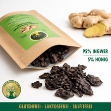 Načíst obrázek do prohlížeče galerie, Fermentierter Ingwer Live Forever Young Zutaten
