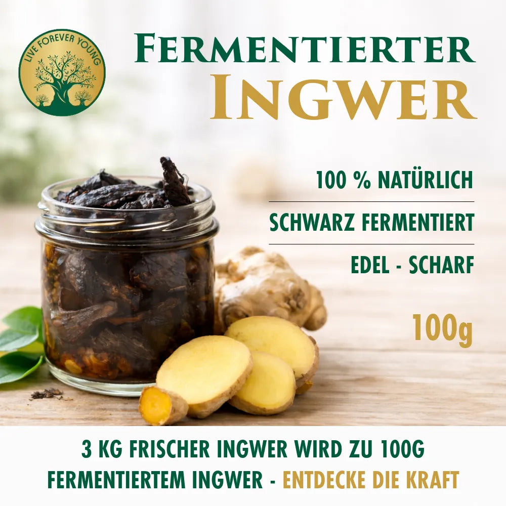 Fermentierter Ingwer