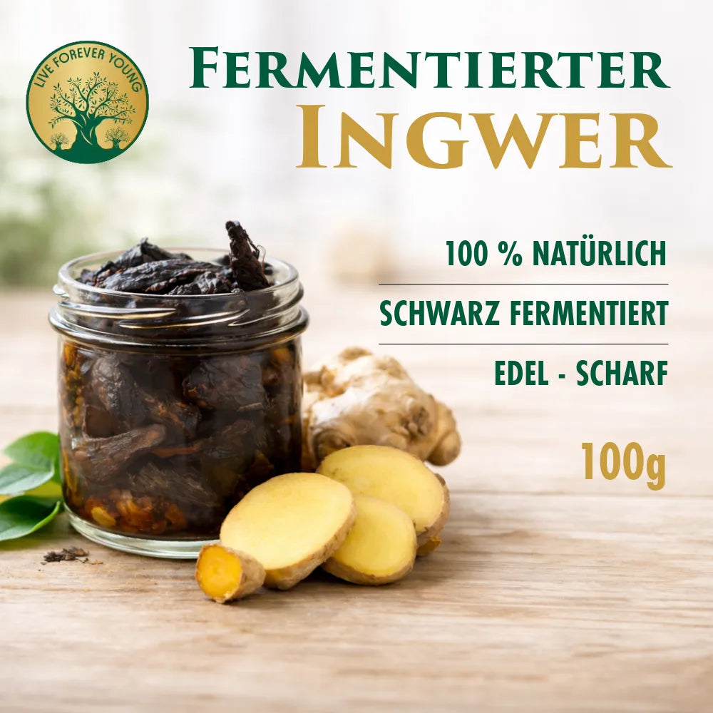 Fermentierter Ingwer