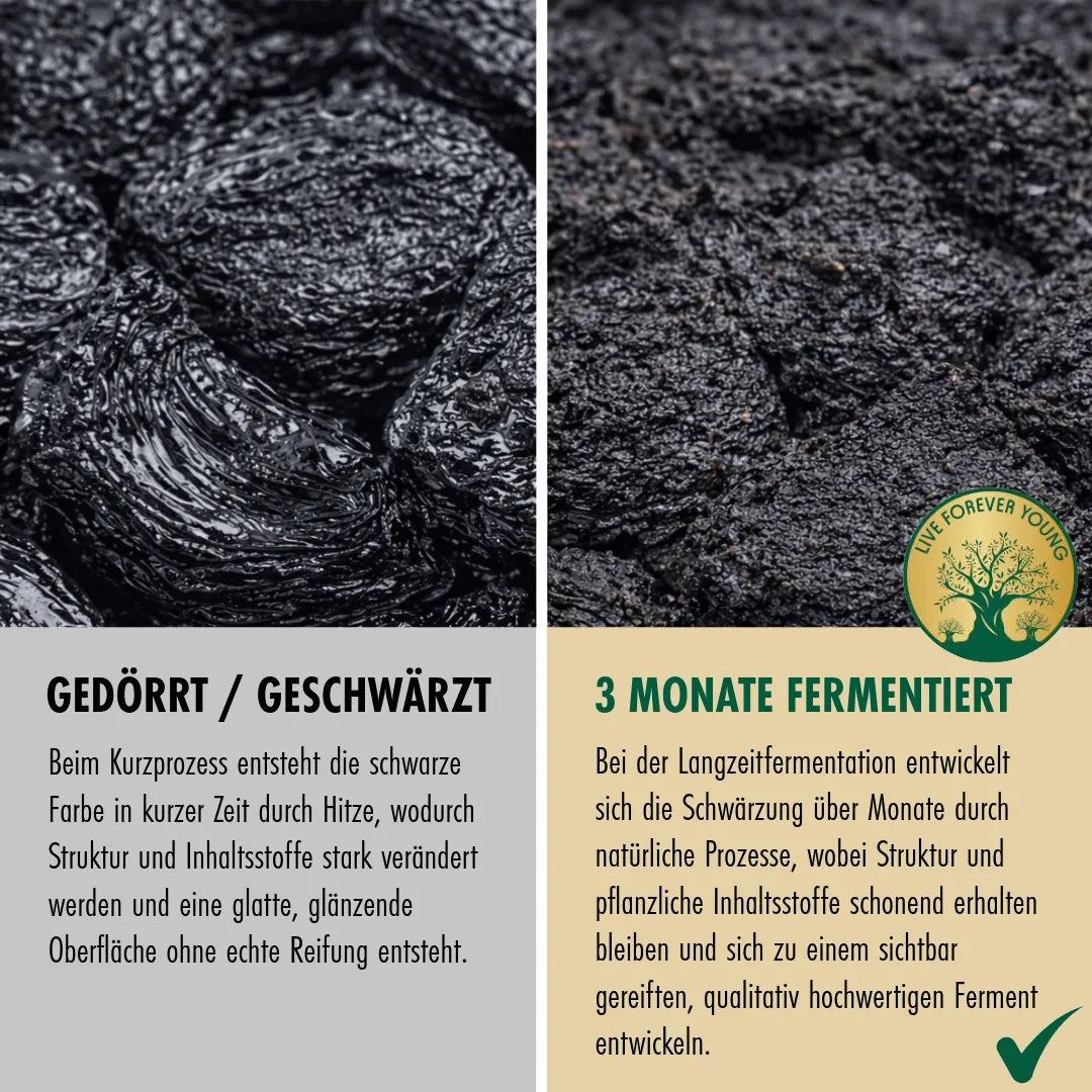 Fermentierte Kurkuma