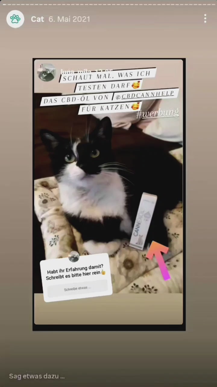 CANNEXOL-CAT