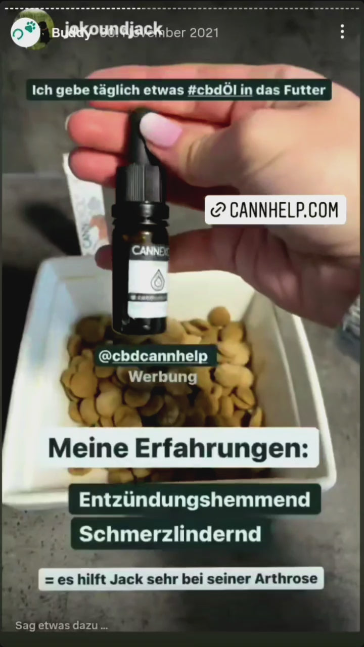 CBD Öl für Hunde