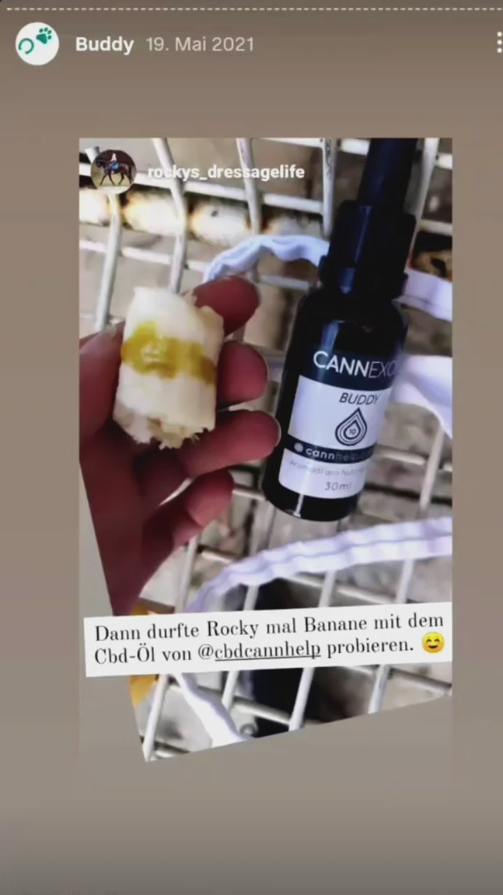 CANNEXOL BUDDY CBD Öl für Pferde und Hunde