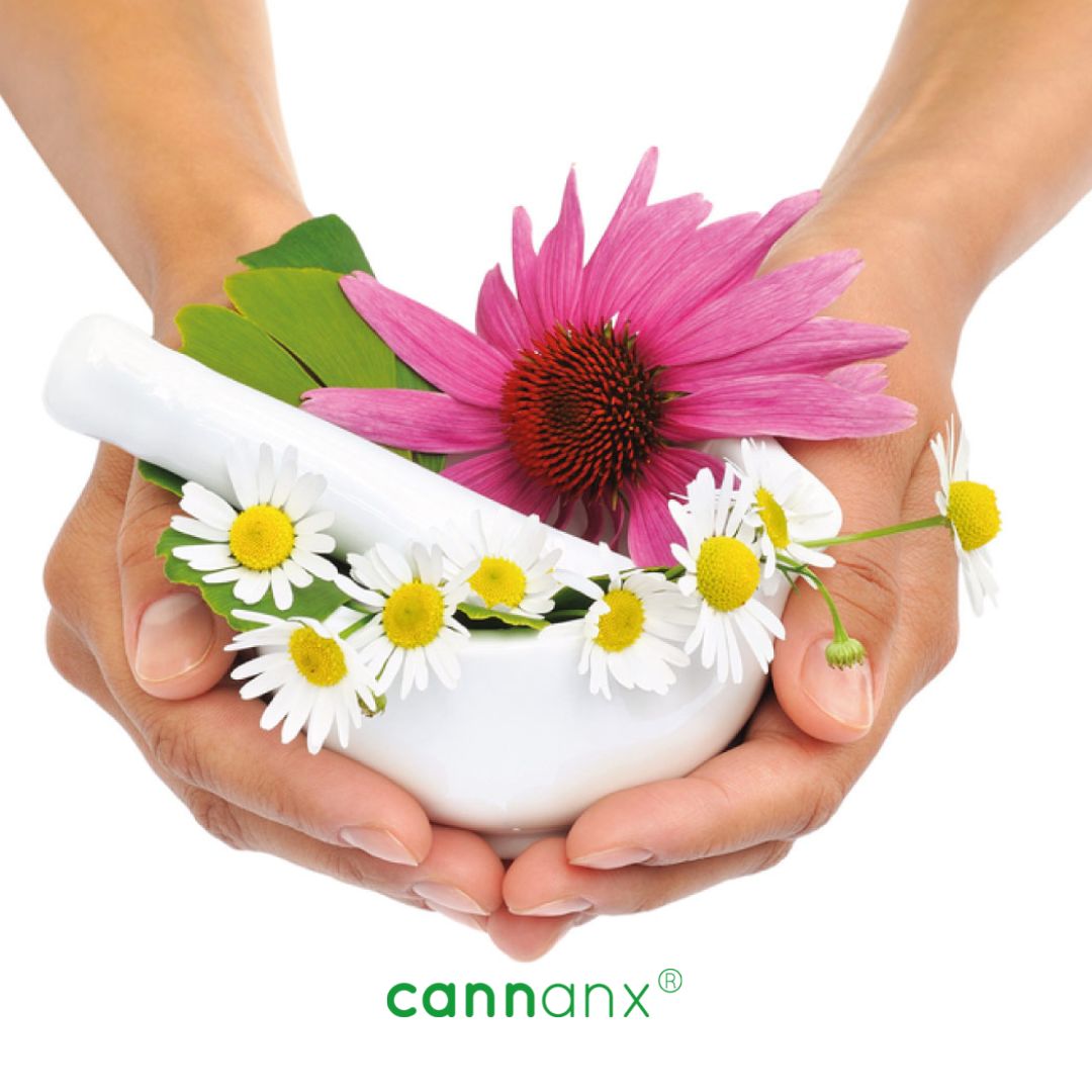 Monthly supply of cannanx® tablets to control anxiety symptoms